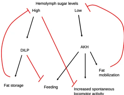 Figure 7 The interactions between nutritional state, neuromodulators, energy  homeostasis, and behavior 