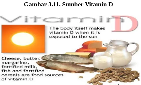 Gambar 3.11. Sumber Vitamin D