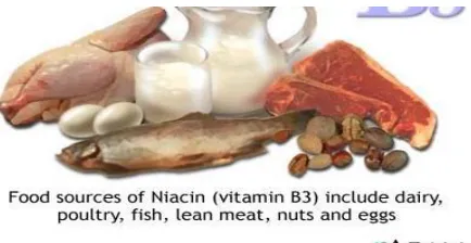 Gambar 3.8. Sumber Vitamin B2