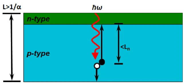 Figure 1.1. Schematic of a traditional planar solar cell design. Shown schematically are the device requirements that when a photon of energy ω generates an electron-hole pair in the p-type base of the cell, the cell thickness L must be greater than its op