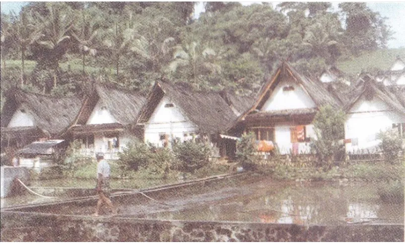 Gambar II.1 Arsitektur rumah di Kampung Naga 