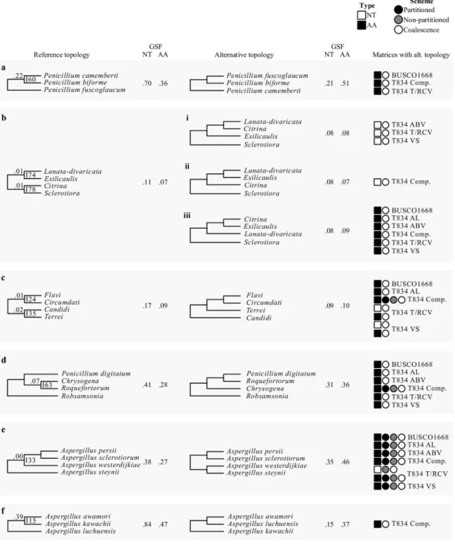 FIG 3 The eight internodes not recovered in all 36 phylogenies. Internode numbers refer to internodes that have at least one conﬂicting topology among the 36 phylogenetic trees inferred from the full and ﬁve subsampled data matrices across three different 