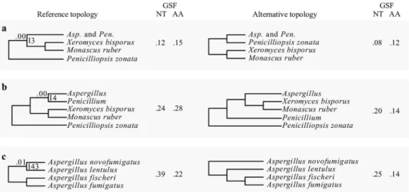 FIG 4 The three internodes recovered in all 36 phylogenies but that exhibit very low internode certainty values