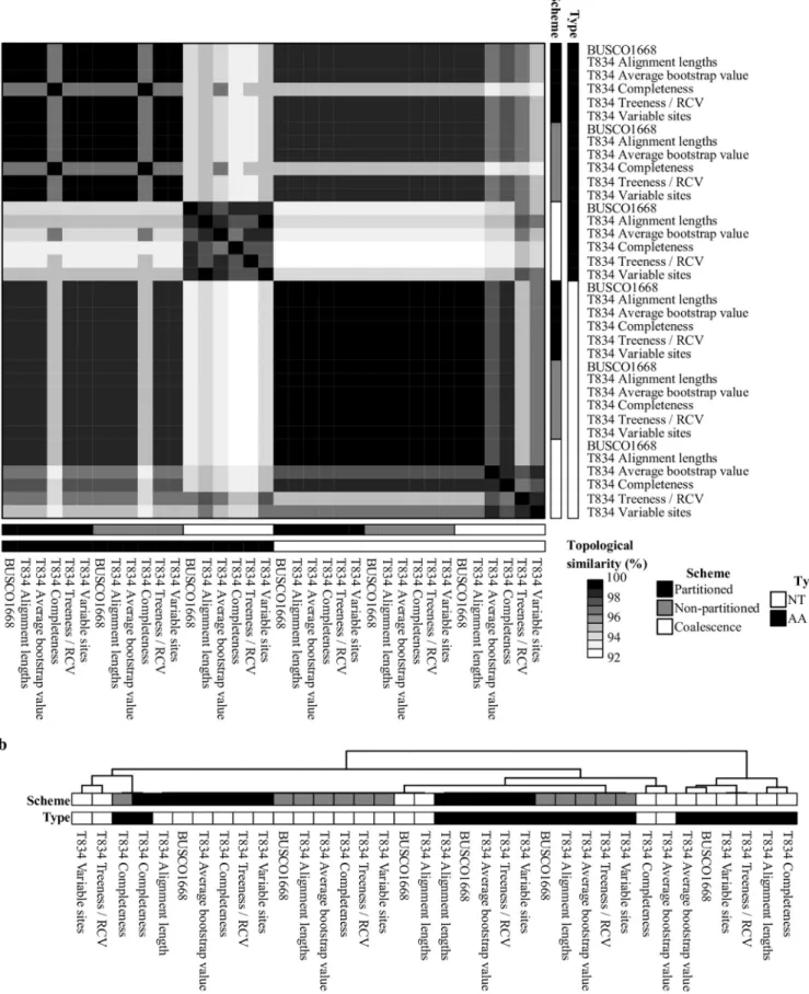FIG 2 Topological similarity between the 36 phylogenies constructed using 6 different data matrices, 2 different sequence types, and 3 analytical schemes.