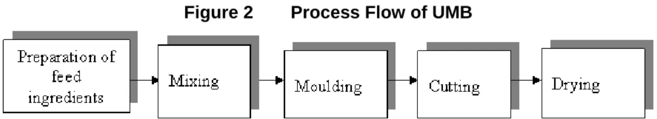 Figure 2   Process Flow of UMB 