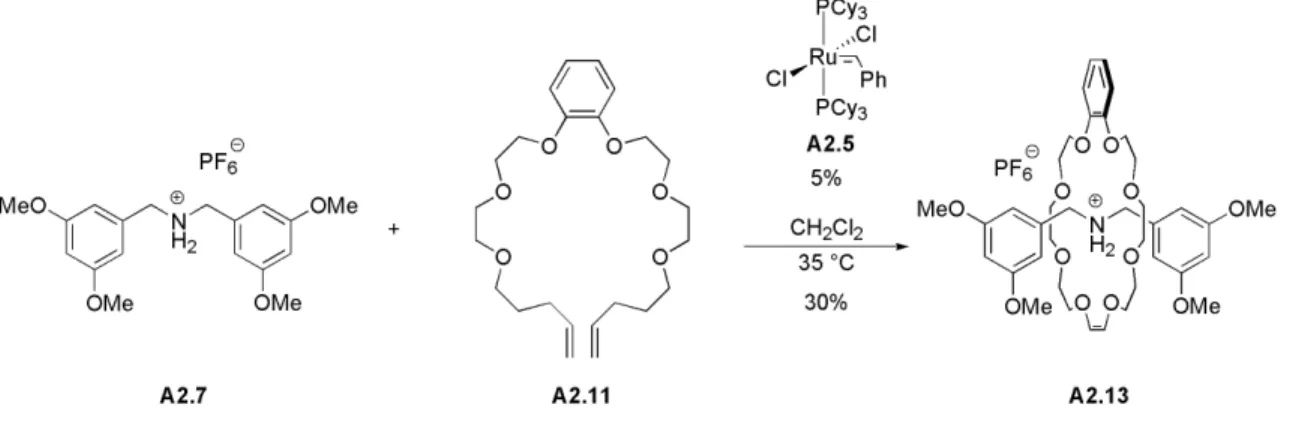 Figure A2.2. Molecular structure of benzo-[2]rotaxane A2.13 (PF 6 - anion and hydrogen  atoms omitted for clarity)