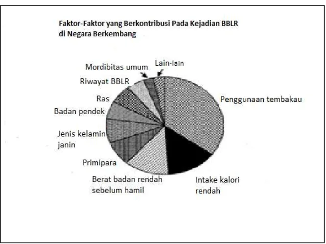 Gambar 2.1 Faktor-Faktor yang Berkontribusi Pada Kejadian Berat Badan Lahir Rendah (BBLR) (WHO, 2004) 