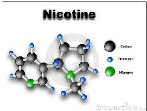 Gambar 2.2. Molekul Nikotin (Hukenan, 2005) 