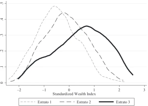 Figure 1Distribution of the Household Wealth Index by estrato