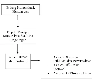 Gambar 3.3 Struktur Organisasi Divisi Humas  