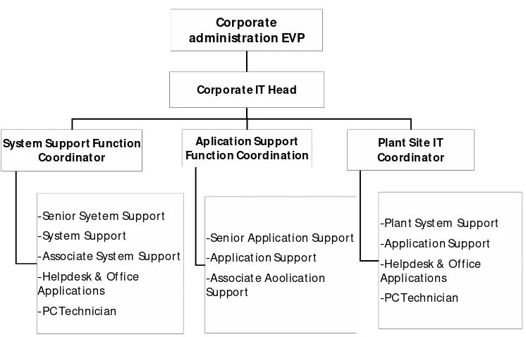 Gambar 2.2. Struktur Organisai IT Department 