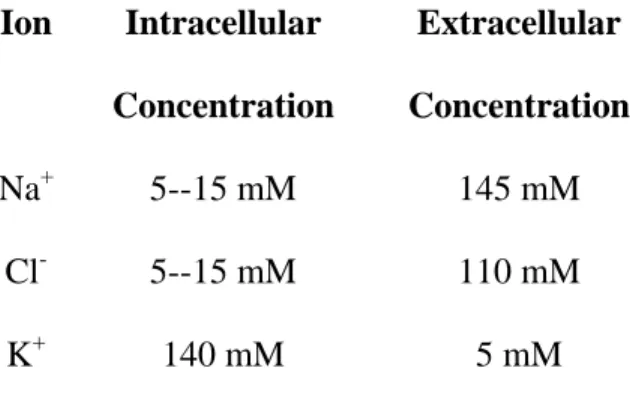 Table 1. Intracellular and extracellular ion concentrations adapted from Alberts (4)  Ion  Intracellular 