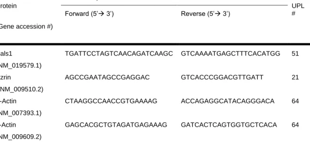 Table  2.  Primers  and  UPL  probes  used  in  RT-PCR  analysis  of  Pals1,  ezrin,  β-actin,  and  γ-actin  expression  in  N2a  cells