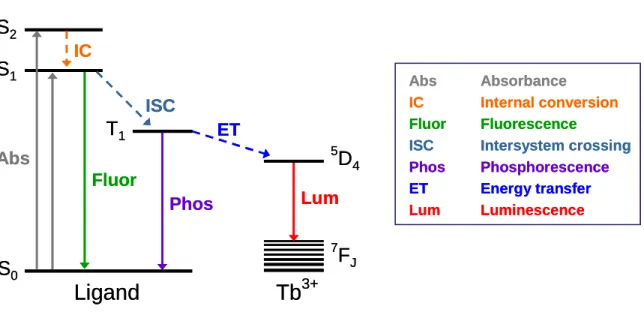 Figure  1.5.    Jablonski  diagram  of  the  absorption-energy  transfer-emission  (AETE)  mechanism  from  an  aromatic  donor  ligand  to  Tb 3+ 