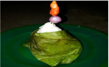 Gambar 1.5 segoh buseng 