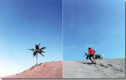 Gambar 18. Buku Profile Sandboarding 