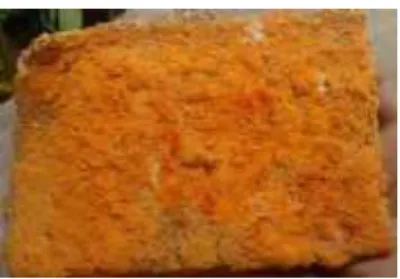 Gambar 5. Jamur Kuping ( Auricularia polytricha)