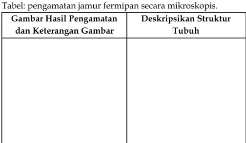 Gambar Hasil Pengamatan Deskripsikan Struktur