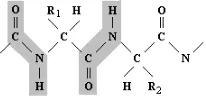 Gambar 4-12: Ikatan hidrogen 