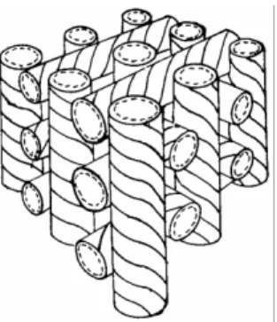 Fig. 4. Illustrating a cubic lattice formed by double-twist cylinders as a possible model of a  BP