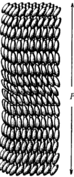 Fig. 7. Illustrating the structure of a chiral smectic C mesophase (P = helical pitch) 