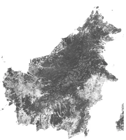 Fig. 2.2 A map of forest cover produced using satellite remote sensing (raster) data. The image is the island of Borneo and was created using MODIS data at a spatial resolution of 500 m