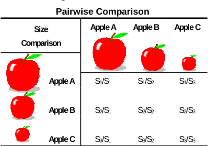 Figure 1 Reciprocal structure of pairwise comparison matrix for apples 