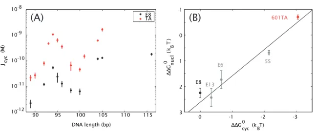 Figure 1.2: Sequences with high nucleosome affinities also have high cyclization J-factors