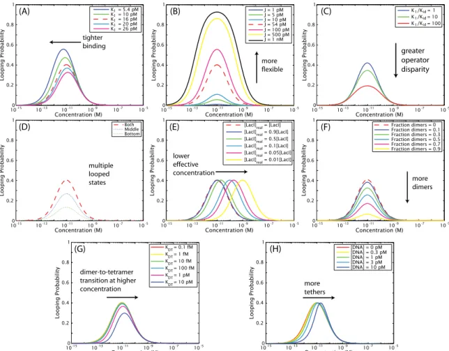Figure 2.1: Effect of key parameters on the concentration dependence of the looping probability