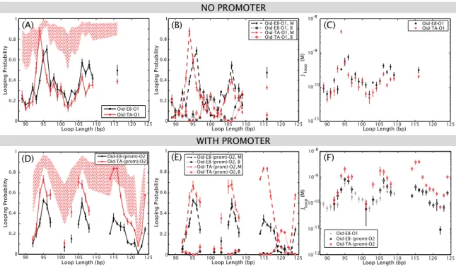 Figure 4.2: Looping probability as a function of loop length at constant repressor concentration