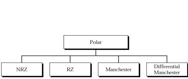 Figure 4.7    Types of polar encoding