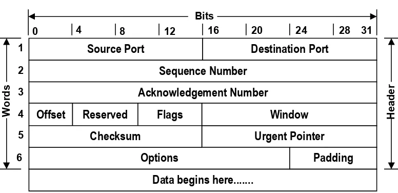 Gambar 4-5. Format Header lapisan TCP