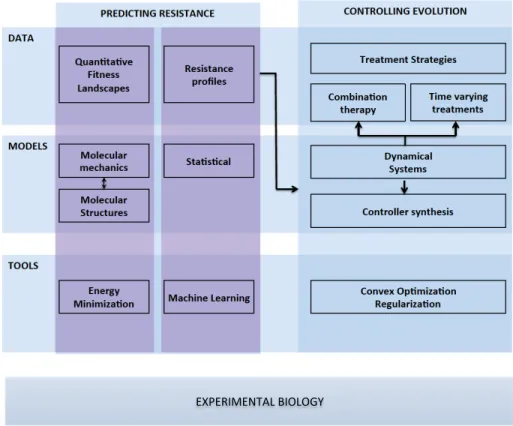 Figure 1.1: Overview of the data, mathematical models and tools used in this thesis.