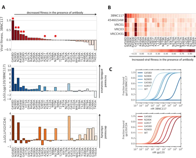 Figure 2.3: A. Gibbs binding energy differences computed between wild type and a subset of gp120 point mutations consisting of alanine substitutions on a subset of 3BCN117 antibody resistant mutations