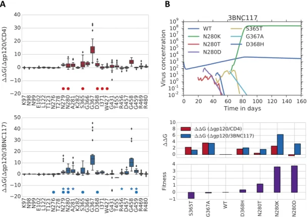 Figure 2.5: A. Fitness landscapes representing the difference in Gibbs binding energy be- be-tween wild type and mutations on the viral glycoprotein (∆gp120) and the CD4 receptor (PDB ID: 1G9N) (above) and the neutralizing antibody 3BNC117 (PDB ID: 4JPV) (
