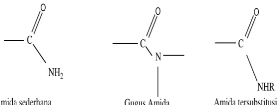 Gambar 2.4. Bentuk-Bentuk Amida 