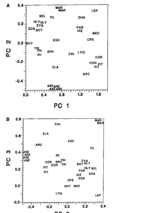 FIGURE 11.2. Principal components analysis of representative composite and whole-plant  taxa
