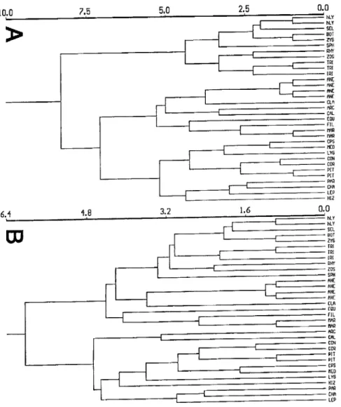 FIGURE 11.3. Cluster analyses of representative composite and whole-plant taxa. Analysis  based on data matrix presented in table 11.2