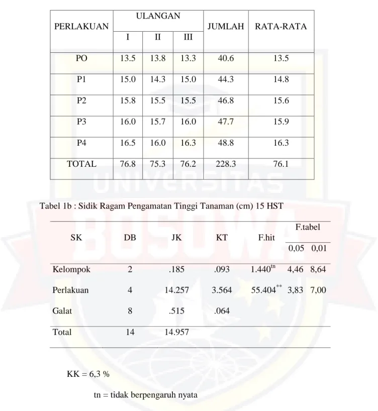 Tabel 1b : Sidik Ragam Pengamatan Tinggi Tanaman (cm) 15 HST 