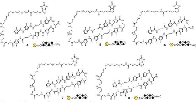 Figure 2.6  Structures of Py-Im polyamides 4-8. 
