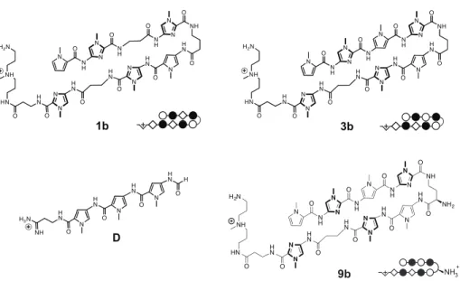 Figure 2.7  Structures of polyamides 1b, 3b, D, and 9b used in in vitro  functional assays