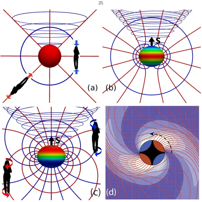 Figure 3.2: Four different black holes, with horizons colored by their tendicity (upper two panels) or vorticity (lower two panels), ranging from most negative (red) to most positive (blue); and with a Kerr-Schild horizon-penetrating foliation (Exercise 33