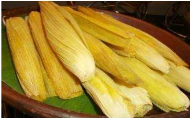 Gambar 2.10 Kulit jagung 