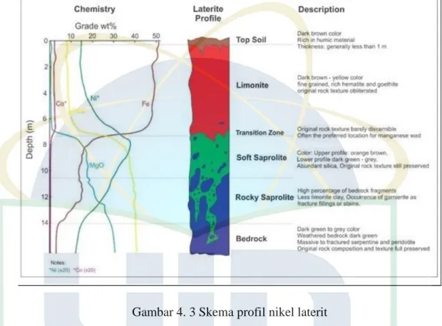 Gambar 4. 3 Skema profil nikel laterit 