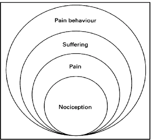 Figure 2.10 Loeser’s conceptual model of pain (90)  