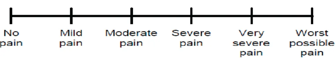 Gambar 2. Verbal Rating Scale (VRS) 