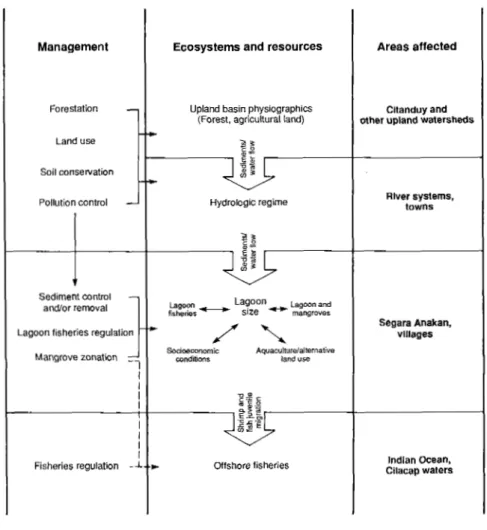 Fig. 1.2. Conceptual overview  of  upland Segara Anakan ecosystem and human interaction 