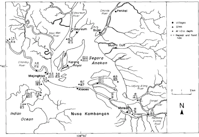 Fig. 2.9. Salinity distribution (ppt) in Segara Anakan and Citanduy River on 19 August  1987( ECI  1987)