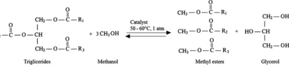 Fig. 13.5 Simplified scheme for biodiesel production by chemical transesterification