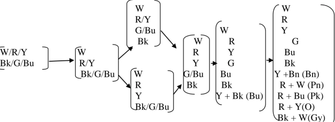 Figure 1: Original B &amp; K Evolutionary Sequence of Color Term Development                                                           W                                                          W                                                           R/